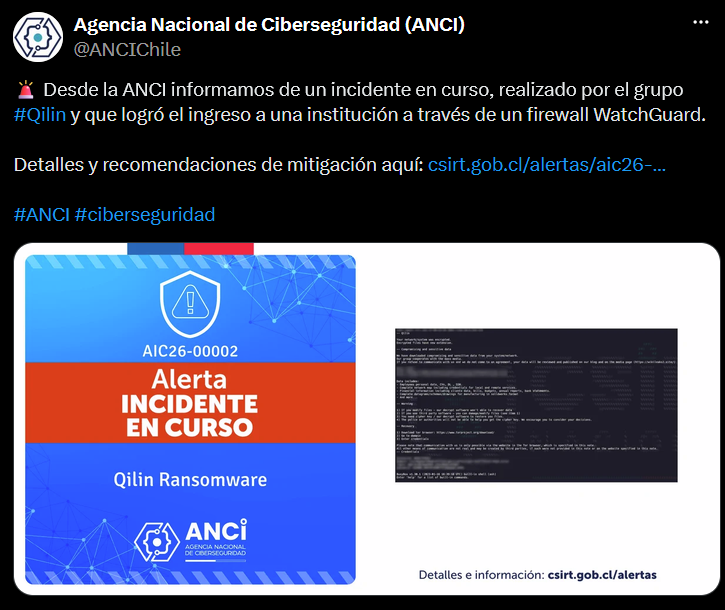 Imagen 10